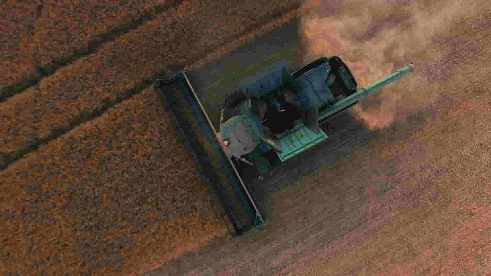 Harvest